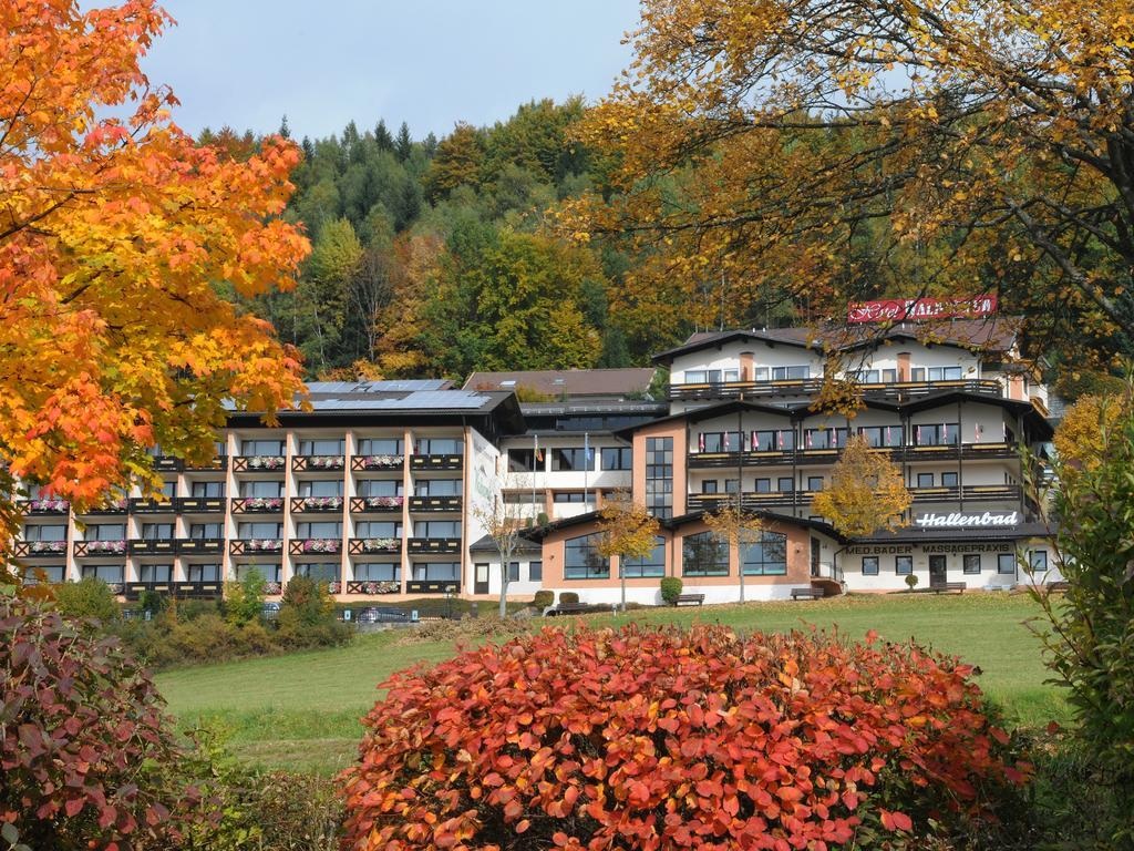 Wellness- Und Ferienhotel Waldesruh Bodenmais Exterior foto