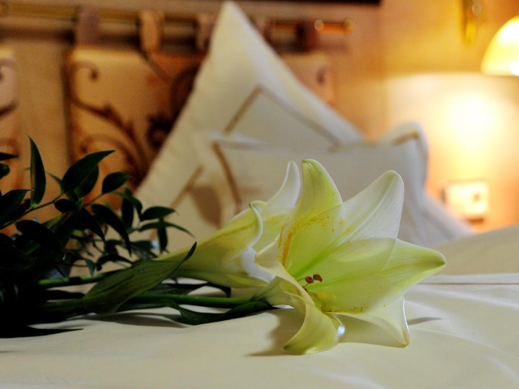 Wellness- Und Ferienhotel Waldesruh Bodenmais Habitación foto